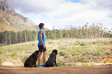 Image showing Nature, mountain and man with dogs for fitness, exercise and morning run on path in Portugal. Trees, athlete and pets in forest for companion with workout, hiking or training for healthy body