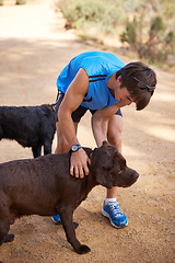 Image showing Path, forest and athlete with dogs for training, healthy exercise and bonding together in Australia. Nature, runner and man playing with pet companion for outdoor run, workout or wellness in morning