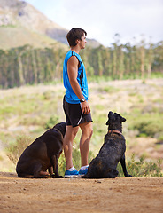 Image showing Nature, mountain and athlete with dogs for exercise, fitness and morning run on path in Portugal. Trees, man and pets in forest for companion with workout, training or hiking for healthy body