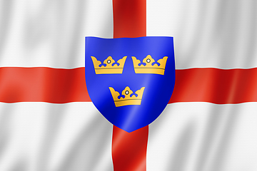 Image showing East Anglia Region flag, UK