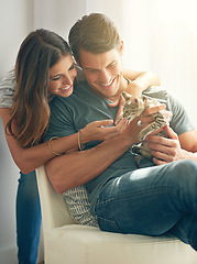Image showing Couple, kitten and happy in home on sofa with hug for love, bonding or care for pet in living room. People, man and woman with kindness, embrace and stroke for baby cat in lounge for animal adoption