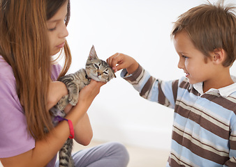 Image showing Siblings, kitten and young boy in family home, scratching and love for small animal. Smile, happy or caring children with domestic cat, pet and rescue companion or adoption for childhood development