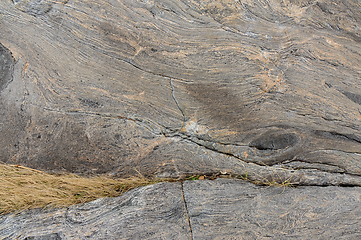 Image showing Close-up view of textured rock surface with subtle grass accents