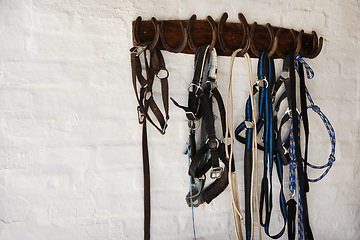 Image showing Riding bridle, tack and horseshoe in wall leather, rope and metal or steel on farm. Countryside, equestrian and wooden with rein for rural, western and horse gear for training or competition