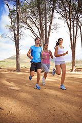 Image showing Wood, running and group for outdoor on forest trail, environment and nature in summer for exercise. Diverse, friends and people in park for training, sport and fitness with trees on mockup space