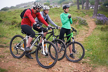 Image showing Friends, cyclist and forest with bike together for bonding, exercise and health with adventure in Chicago. Fitness, trail and mountain with hobby for mindset in nature, trip and wellness for fun.