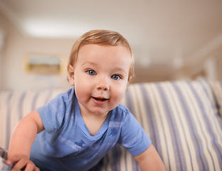 Image showing Playing, crawl and portrait of baby in sofa or home for fun, growth or learning alone in living room. Energy, boy or face of a curious male kid on couch for child development or wellness in a house