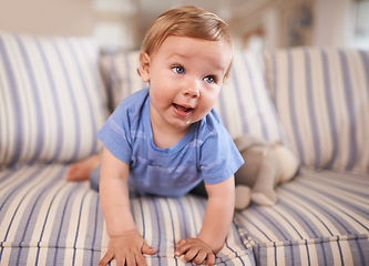 Image showing Playful, crawl or baby on couch in home for playing, growth or fun learning alone in living room. Wellness, cute boy or face of a curious male kid on sofa for child development or crawling in a house