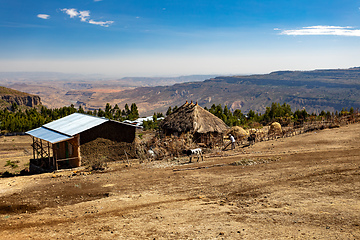 Image showing Ethiopian farmer in the countryside. Oromia Region, Ethiopia