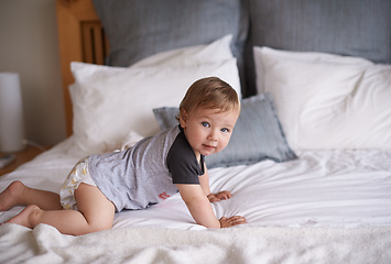 Image showing Boy, baby and crawl on bed in portrait, joy and kid for motor skills in bedroom on weekend. Child development, happy toddler and calm or comfortable, wellness and learn for health and positive growth