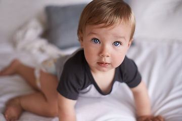 Image showing Curious, baby and crawl on bed in portrait, boy and kid for motor skills in bedroom on weekend. Child development, toddler and calm or comfortable, wellness and learn for health and growth in home