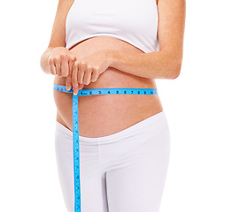 Image showing Woman, hands and pregnant with measure for growth in studio on white background for wellness and health. Closeup, female person and mother on maternity with pregnancy, stomach and future family