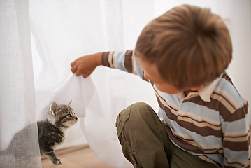 Image showing Playing, happiness and boy with cat in home on weekend, excited and bonding with love for domestic animal. Child, pet kitten and care on vacation, peace and fun for childhood development in house