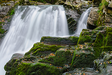 Image showing Cascading waterfall surrounded by lush greenery in a forested la