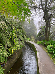 Image showing beautiful Madeira landscape