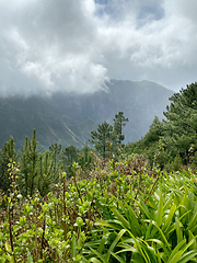 Image showing beautiful Madeira landscape