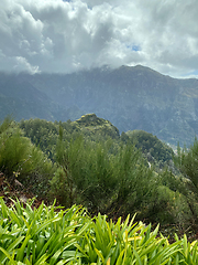 Image showing beautiful Madeira landscape