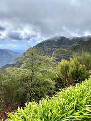 Image showing beautiful Madeira landscape