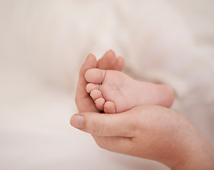 Image showing Feet, hand and parents with infant, support and love of parent for bonding or wellness. Family, close up of caring person holding baby toes for security, protection and childhood development