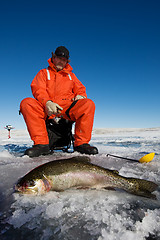 Image showing Catch of the day