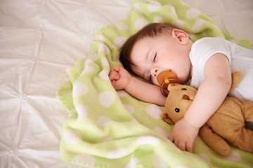 Image showing Infant, sleep and bed with teddy bear in bedroom to rest, relax with dummy and dream. Home, toddler and afternoon nap for child development, growth and innocent baby, peace and bedtime with routine