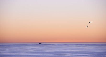 Image showing Ocean, sunset or sand seagulls on seascape in island, flying or summer migration or bird in nature. Sky, clouds or neon color on torrey pines beach, calm or outdoor travel in california or landscape