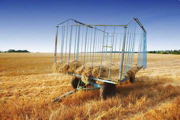 Image showing Trailer, harvest and cut grass with haystack on farm in the countryside for natural growth or maintenance. Closeup of transportable wagon for agriculture, wheat or heavy machine to collect produce