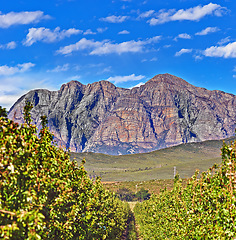 Image showing Mountains, environment and grass with nature, clouds and stone with landscape and weekend break. Empty, rock and plants with flowers and countryside with summer and journey with sunshine and earth