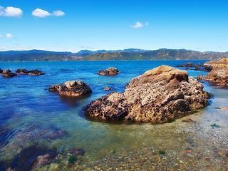 Image showing Water, freedom and beach for travel, vacation or summer holiday, seascape or adventure in nature. Ocean, rock or boulder in New Zealand for tropical paradise, peace or relax with stress relief at sea