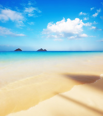 Image showing Tropical, beach with blue sky and ocean, landscape in nature and environment with sand and travel destination. Horizon, calm and seascape in natural background, location or island for holiday in Bali