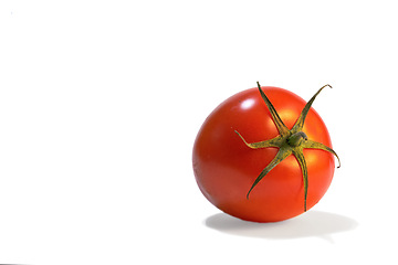 Image showing Closeup, tomato and stem with natural vitamins for diet, nutrition or snack on a white studio background. Organic red vegetable, food or vegetarian consumables for health and wellness on mockup space