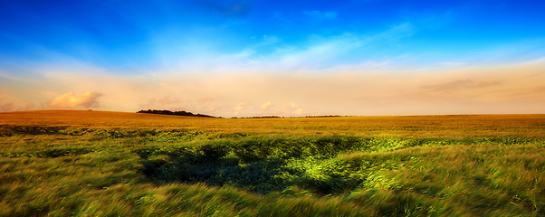 Image showing Sky, field and landscape of countryside with meadow, agro farming or plant growth in nature. Background, travel and environment with horizon, green lawn or natural pasture for grass, crops or ecology