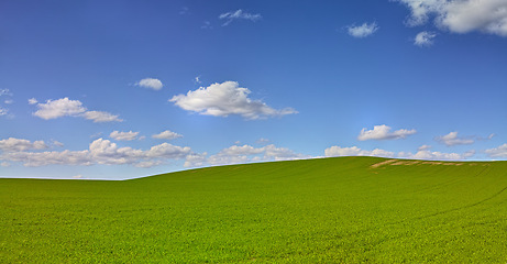 Image showing Horizon, clouds and blue sky at countryside with space, sustainability and nature in summer. Environment, beauty and field with grass for eco friendly, growth and landscape of earth with lawn