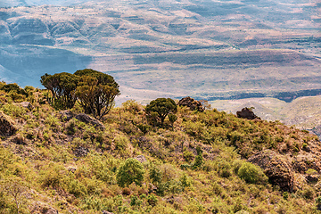 Image showing Beautiful mountain highland landscape, Somali Region. Ethiopia.