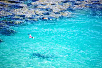 Image showing Water, drone and people with snorkeling at the beach for summer, vacation or swimming. Freedom, travel and aerial view of swimmer friends in the ocean exploring coral reef, seascape or environment