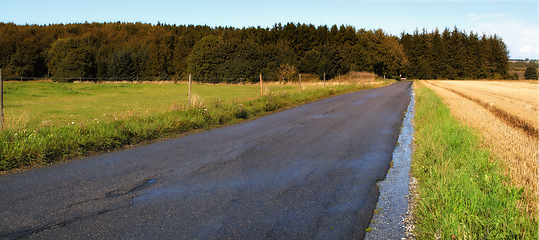 Image showing Road, landscape and trees with field in countryside for travel, adventure and roadtrip with forest in nature. Street, path and location in Denmark with tarmac, roadway and environment for tourism