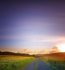 Image showing Road, landscape and field with sunset in countryside for travel, adventure or roadtrip with mockup in nature. Street, path and location in Amsterdam with journey, roadway and environment for tourism