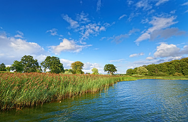 Image showing Nature, blue sky and lake with trees for environment, ecosystem and ecology outdoors. Natural background, landscape and aerial of water for scenic view, travel destination and terrain in countryside