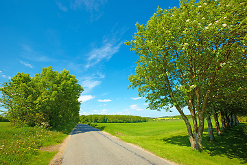 Image showing Road, landscape and field with blue sky in countryside for travel, adventure or roadtrip with trees in nature. Street, path and location in Amsterdam with journey, roadway and environment for tourism