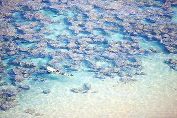 Image showing Water, drone and female with boogie board at the beach for summer, vacation or swimming. Freedom, travel and aerial view of person swimmer in the ocean exploring coral reef, seascape or bodyboarding