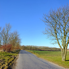 Image showing Road, landscape and trees with field in countryside for travel, adventure and roadtrip with forest in nature. Street, path and location in Amsterdam with blue sky, roadway and environment for tourism