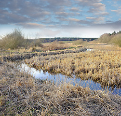 Image showing Nature, landscape and river in field for environment, ecosystem and ecology outdoors. Natural background, landscape and water or lake for scenic view, travel destination and terrain in countryside