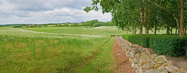Image showing Stone wall, grass and nature with countryside trees, agro farming and plant growth in environment. Background, travel or landscape of meadow horizon, lawn or natural pasture for sustainable field