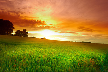 Image showing Nature, clouds and field on a sunset background for environment, weather and season with mockup space. Green landscape of a park, meadow and grass or lawn for peace, zen and outdoor in orange light