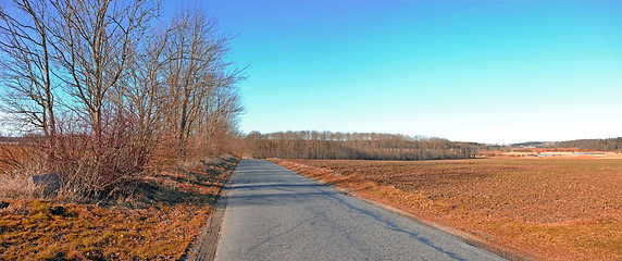 Image showing Road, landscape and trees with field in countryside for travel, adventure and autumn with blue sky in nature. Street, path and location in Amsterdam with tarmac, roadway and environment for tourism
