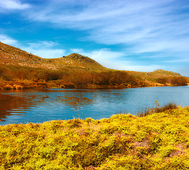 Image showing Landscape, lake and hill with nature, savanna and bush with environment in sunshine with grass by water. Field, river and stream for growth, sustainability or ecology in swamp, summer or countryside