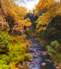 Image showing Nature, autumn and river with trees for environment, ecosystem and ecology outdoors. Natural background, landscape and aerial of water for scenic view, travel destination and terrain in countryside