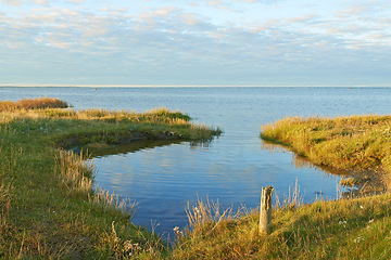 Image showing Lake, field and landscape with sky in horizon, grass and environment with sunshine in Jutland. Water, sea or dam with clouds, sustainability and ecology for earth in summer at countryside in Denmark