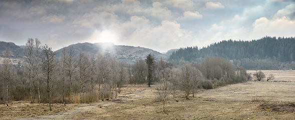 Image showing Forest, winter and landscape with trees and sunshine, nature and cold weather with horizon for scenic view. Mountains, natural background for travel or tourism with snow in location or destination