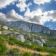 Image showing Mountains, environment and blue sky with nature, birds and stone with landscape and vacation. Empty, rocks and grass with flowers or countryside with summer or animals with sunshine, growth or spring